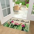 thumbnail image 3 of Spring Summer Door Mat 30 X 17 Inch No Picks Allowed Cactus Doormat Indoor Outdoor Entrance Funny Floor Mat Non Slip Summer Decor Rubber Welcome Mats, 3 of 6