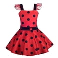 thumbnail image 1 of Dressy Daisy Girls Polka Dots Ladybug Disfraz De Cumpleanos Dressy Daisy Dressy Daisy, 1 of 2
