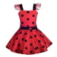 thumbnail image 1 of Dressy Daisy Girls Polka Dots Ladybug Disfraz De Cumpleanos Dressy Daisy Dressy Daisy, 1 of 2