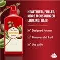 thumbnail image 2 of Old Spice Moisturize with Shea Butter, Shampoo for Men, 2 of 10