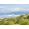 thumbnail image 2 of Anonymous 32x25 Black Ornate Wood Framed with Double Matting Museum Art Print Titled - Dune Grass on Ocean Beach, 2 of 4