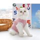 thumbnail image 4 of Ropa elástica de recuperación para gatos después de una cirugía, traje de destete para gatos pequeños, mono suave y transpirable para el cuidado de mascotas, 4 of 5