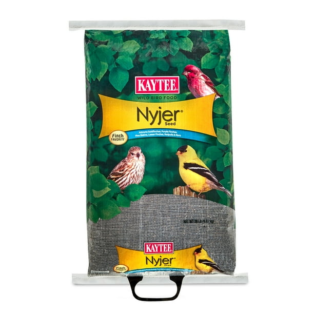 Kaytee Nyjer Songbird Wild Bird Food Thistle Seed 20 lb.