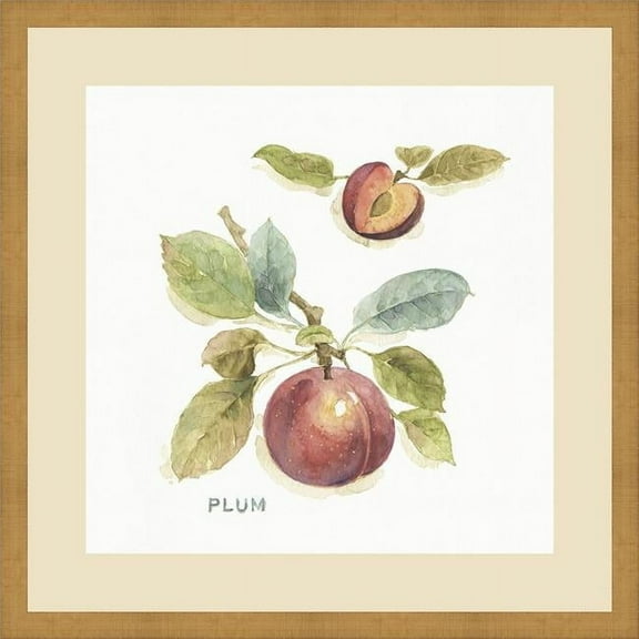 Somerset House Publishing 7131 21 x 21 in. Orchard Bloom IV, Framed Fine Art Print with Glass - Gold