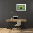 thumbnail image 3 of Jaynes Gallery 32x23 White Modern Wood Framed Museum Art Print Titled - Canada-Yukon Young grizzly bear in field, 3 of 4