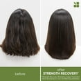 thumbnail image 4 of Biolage Strength Recovery Deep Treatment Pack | Moisturizing Hair Repair Mask | For Dry, Damaged Hair Types | Deep Conditioning | Cruelty-Free | Infused with Vegan Squalane | 3.4 Fl. Oz, 4 of 7