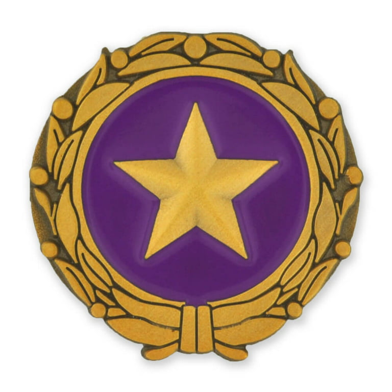Adult Gold Star Pins, sudlow