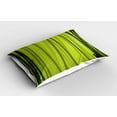thumbnail image 2 of Forest Pillow Sham Set of 2, Nature Cartoon Rainforest Wild Jungle with Folkloric Trees Print, Quality Microfiber Bedding Item for All Seasons, 26" x 20", Apple Green and Olive Green, by Ambesonne, 2 of 3