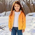 thumbnail image 4 of KAUOD Boys Winter Padded Hoodies Cute Gradient Color Fleece Lined Hooded Jackets with Pockets Kids Zip up Padded Warm Outwear, 4 of 8