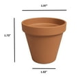 thumbnail image 4 of Artevasi 2 inch Round Terracotta Clay Flower Pot With Drainage Hole for Indoor and Outdoor Use, 4 of 4