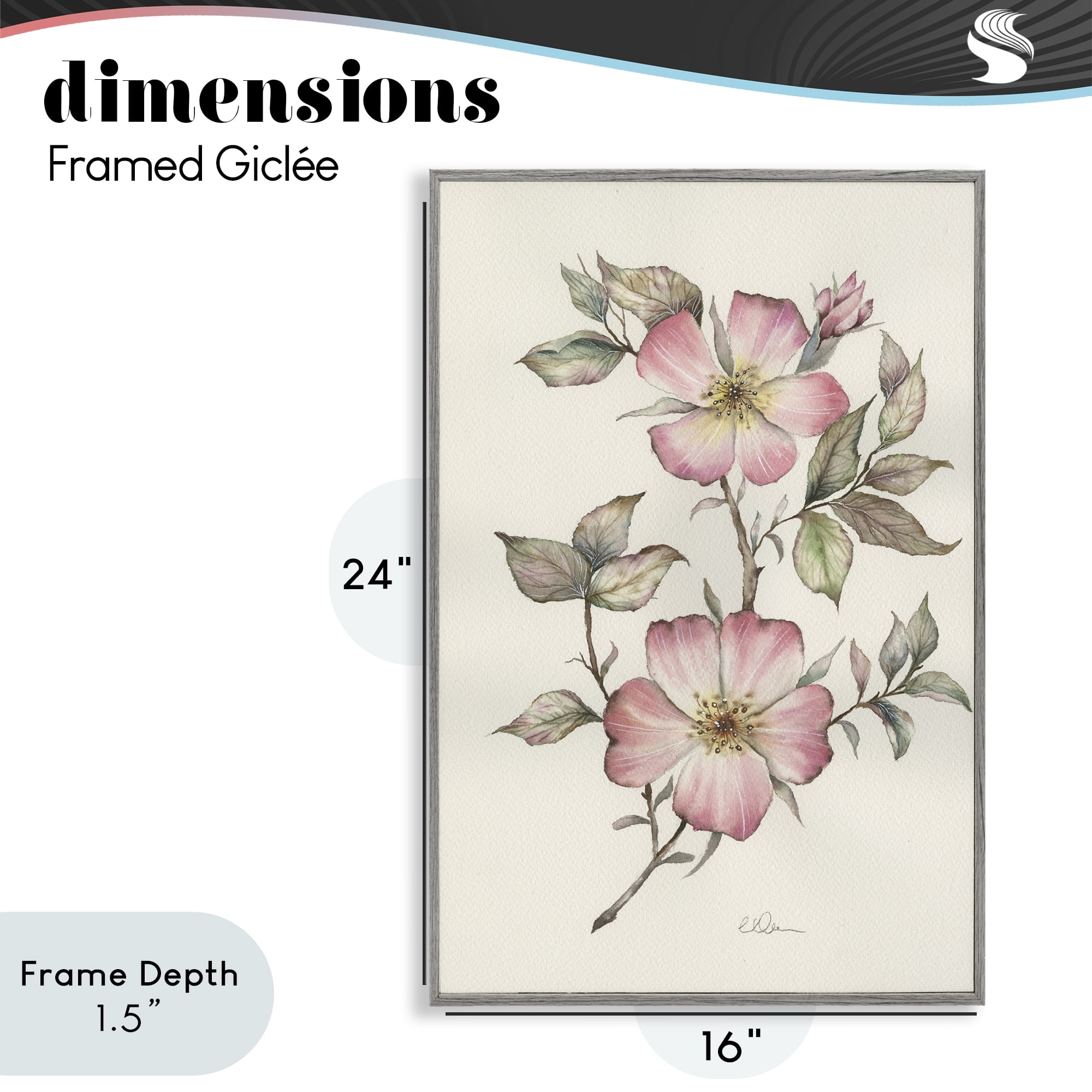 Stupell Industries Two Flowers Natural Study Gray Framed Giclee Art, design by Cady Driver