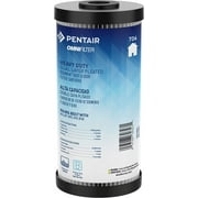 Pentair OMNIFilter TO6 Carbon Water Filter, 10-Inch, Whole House Heavy Duty Dual Layered Pleated Sediment and Carbon Wrap Taste & Odor Replacement Cartridge, 10" x 4.5", 5 Micron