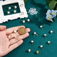 thumbnail image 3 of 20 piezas de accesorios para aretes de perla, aretes de latón chapados en oro de 18 quilates, aretes de perla de imitación de plástico, aretes de media caña con 40 tuercas de plástico para aretes., 3 of 7