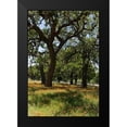 thumbnail image 2 of Highsmith, Carol 17x24 Black Modern Framed Museum Art Print Titled - Shade trees and wildflowers on the LBJ Ranch, near Stonewall in the Texas Hill Country, 2 of 5