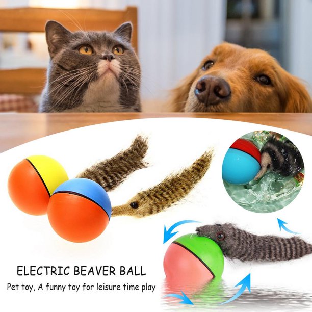 Wowspeed Electric Beaver Ball Pet Ball Toy Dog Motorized Rolling Ball Cat Chasing Jump Toys Walmart Com