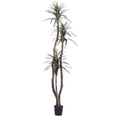 thumbnail image 1 of Vickerman 6.5' Marginata Deluxe, 1 of 5
