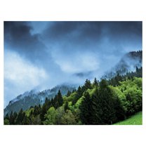 Masterpiece Art Gallery Mountainside Mist Pine Trees by Guy Bowden Canvas Art Print