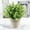 M, variant on Guozer Simulated Welcome Potted Plants, Plastic Artificial Flowers, Bonsai Home Decoration, Simulated Plant Decorations