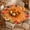 Autumn, variant on Fall Round Tablecloth with Elastic Edge, Watercolor Maple Leaf Table Cover for 36"-44" Tables, Thanksgiving Autumn Farmhouse Table Cloth, Water Resistant Dining & Party Decor