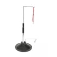 thumbnail image 2 of American Educational Electroscope with Electrostatic Balls, 4.5" Base x 9" H, 2 of 2