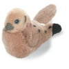 Mourning Dove by Wild Republic - 79562