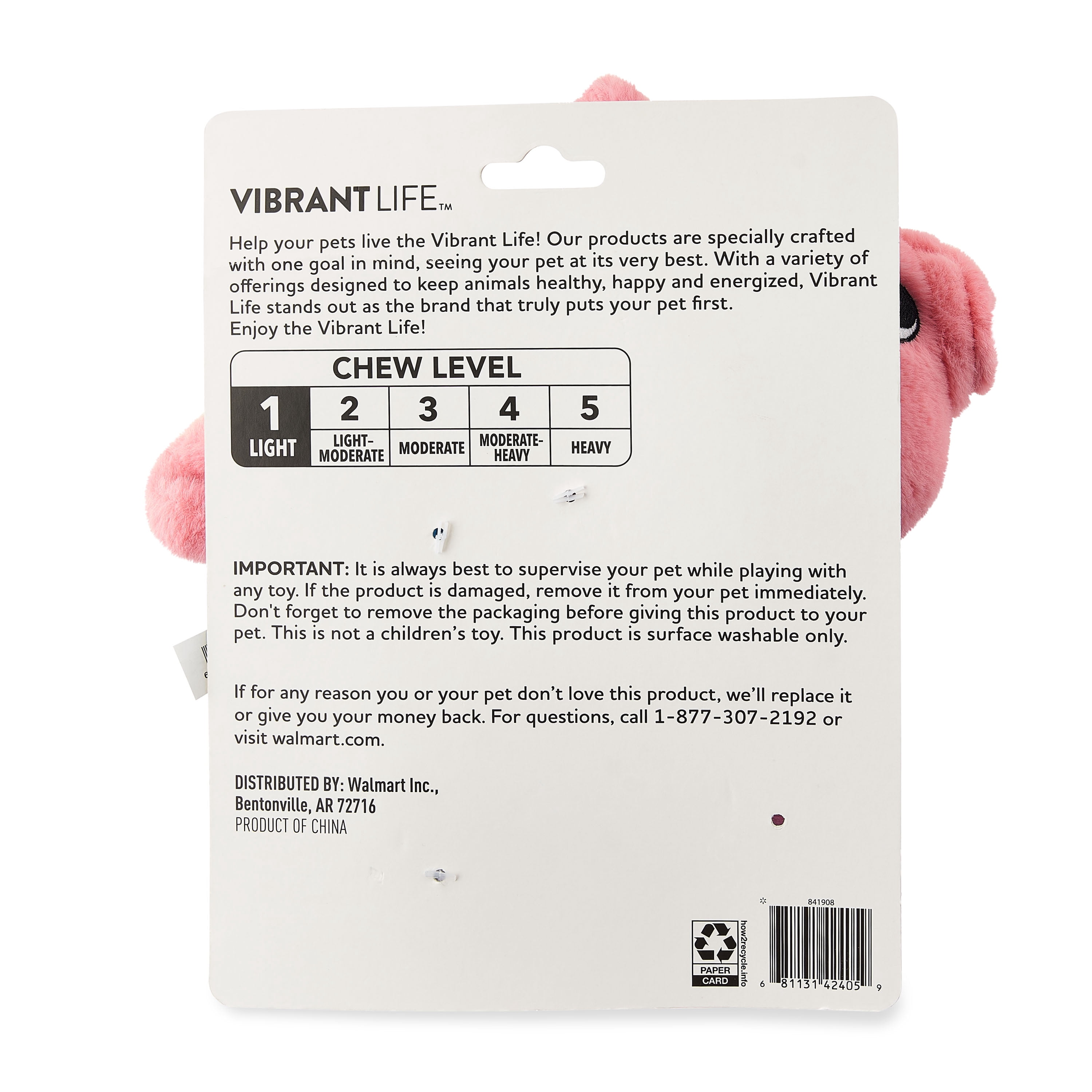 Vibrant Life Cozy Buddy Chew Dog Toy, 8" Hula Pig, Medium Chew Level