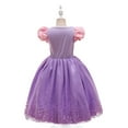 thumbnail image 2 of HAWEE Purple Princess Dress up Birthday Party Fairy Purple Costume for Toddler Girls, 2 of 6