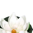 thumbnail image 4 of Yuarrent Flores artificiales de agua TureClos, flores de PE de tacto Real, flores decorativas de simulación para el hogar y la boda Decoración blanco, 4 of 6