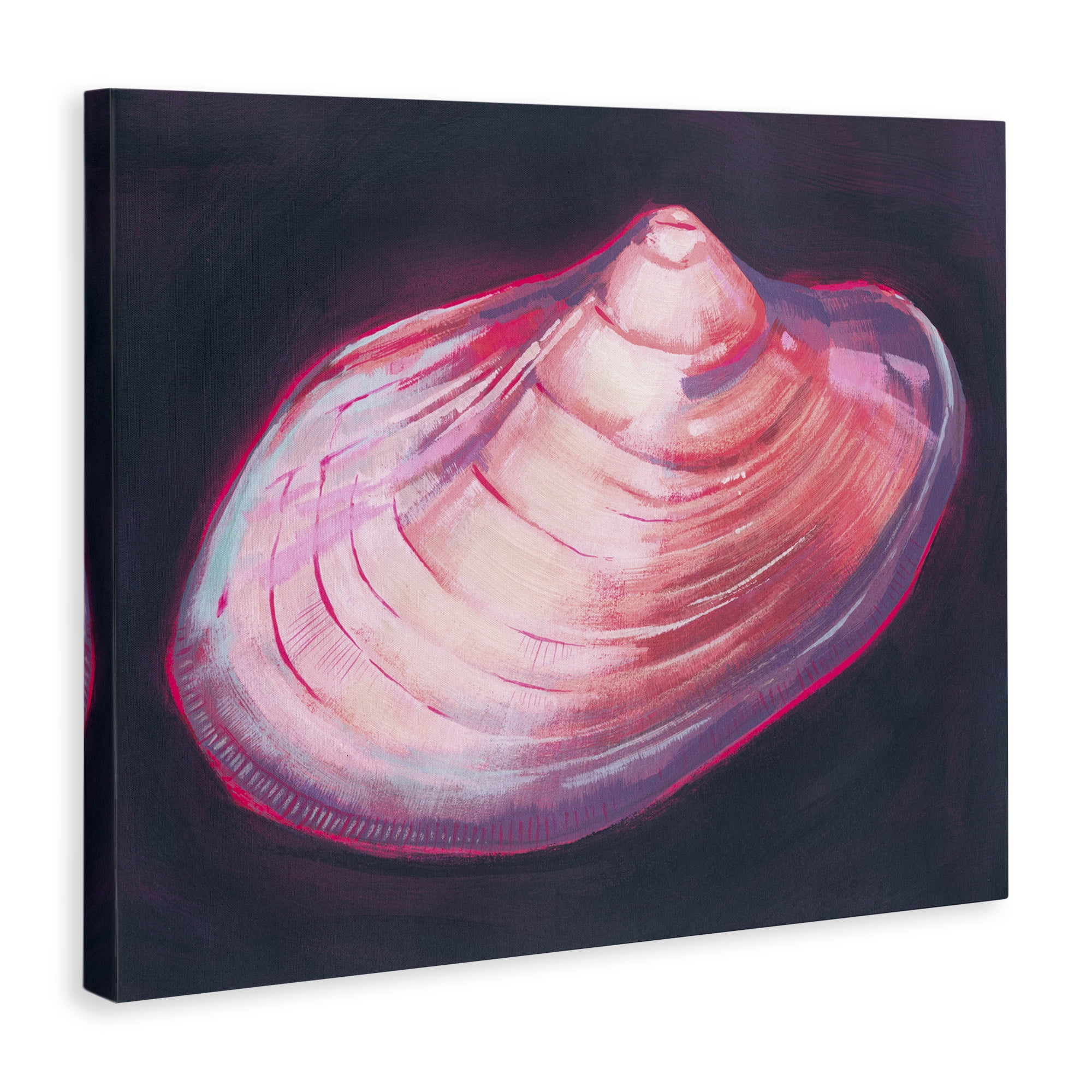 Stupell Industries Pink Seashell on Black Animals & Insects Painting Gallery Wrapped Canvas Art Print Wall Art, 20 x 16