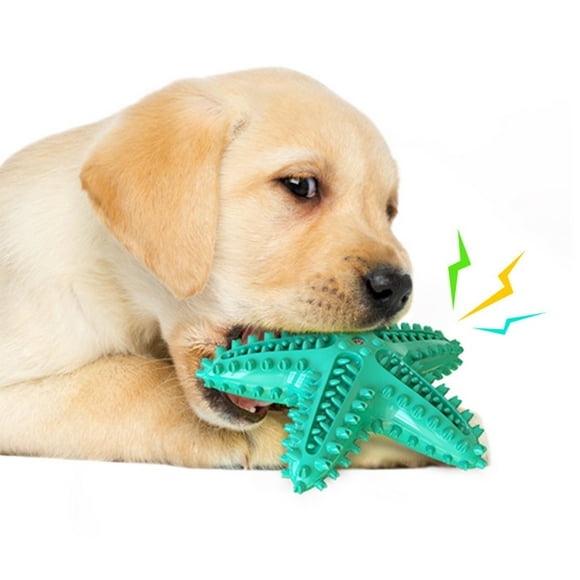 TIMIFIS Jouets pour Chiens Fournitures pour Animaux Brosse à Dents Durable Bâton de Nettoyage des Dents Jouet Interactif pour Chiens - Été