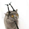 thumbnail image 2 of Pet Cats Funny Headwear Decorations Hats Photo Props, 2 of 3