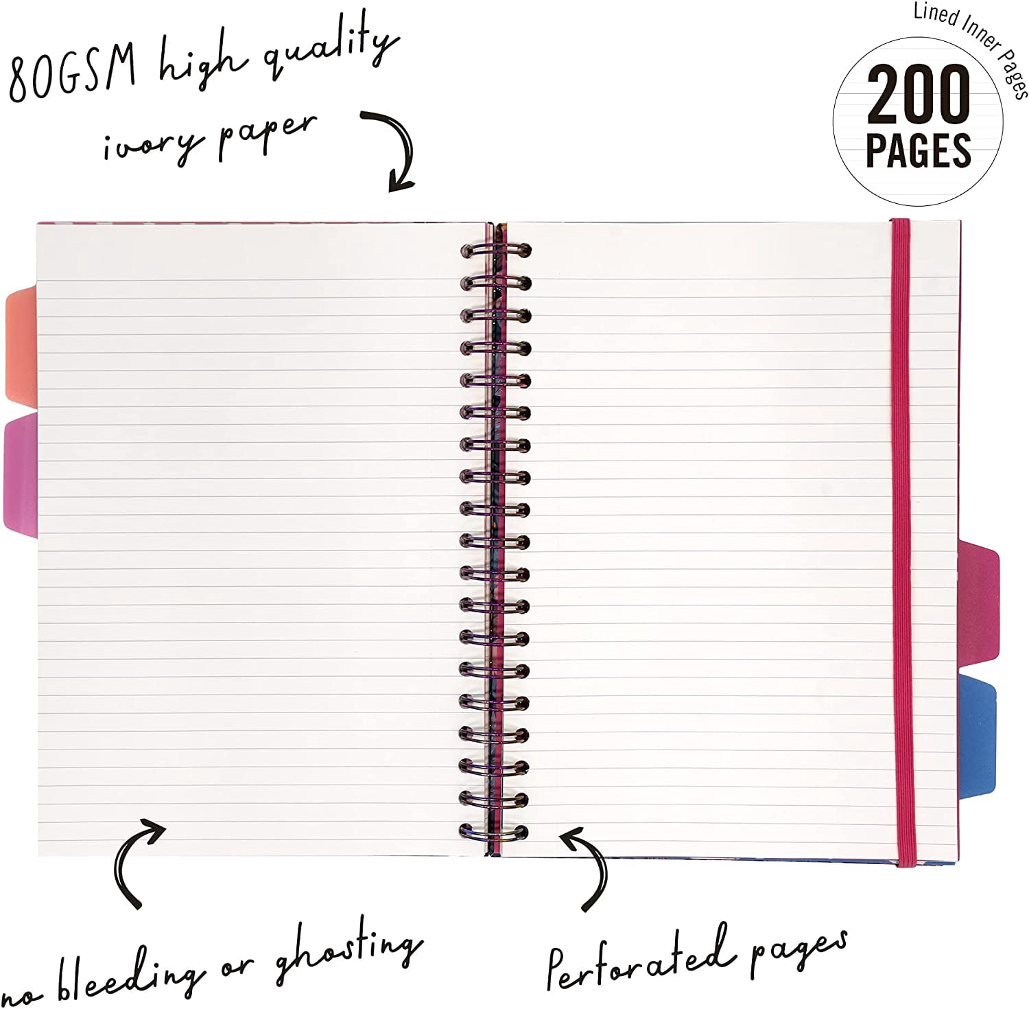Pukka Pad, 5 Subject Spiral Notebook 12-Pack with Repositionable Dividers - 200 Pages of 80GSM Paper with Perforated Edges, Great for Office, Planning, Staying Organized - Bloom, B5-7 X 10in