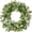 Green-5, variant on 15 Inch Artificial Eucalyptus Wreath with White Flowers Spring Summer Wreaths for Front Door Indoor Outdoor Rustic Farmhouse Greenery Flower Wreath Decor Wall Hanging Window Display