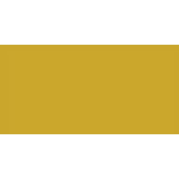 Testors Enamel Paint