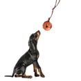 thumbnail image 3 of DOLITY Dog Bite Ball with Rope Playing Pet Supplies for Mastiff Spaniel German Brown, 3 of 9