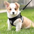 thumbnail image 5 of Dog Harness and Lead Set, Soft, Breathable Mesh, No Pull Dog Harness, Reflective Adjustable Dog Vest Strap for Small Dogs and Cats, 5 of 5