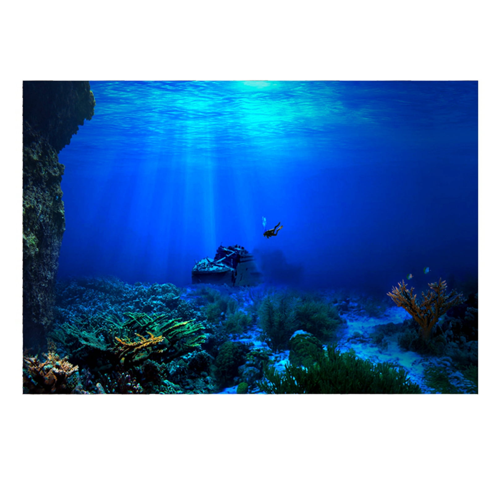 Aquarium Poster Background