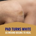 thumbnail image 6 of Nexcare Flexible Fabric Bandages, Durable, Assorted Sizes, 30 Count, 6 of 9
