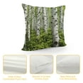 thumbnail image 4 of Shangniulu Throw Pillow Case Birch Trees Short Plush Square Cushion Cover Standard Pillowcase for Men Women Kids Home Decorative Sofa Armchair Bedroom Livingroom, 4 of 5