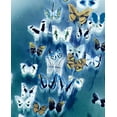 thumbnail image 2 of Taylor, Evangeline 12x14 Black Ornate Wood Framed with Double Matting Museum Art Print Titled - Bouquet Of Butterflies, 2 of 4