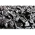 thumbnail image 3 of Blacksmithing and Stove Coal 15lbs, 3 of 4