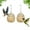 Gold, variant on Duslogis 2 Pcs Bird Feeder, Suet Ball Feeders for Outside Hanging, Metal Hanging Bird Feeder with Hooks, Fat Ball Bird Feeder for Wild Birds Outdoor Garden (Gold)