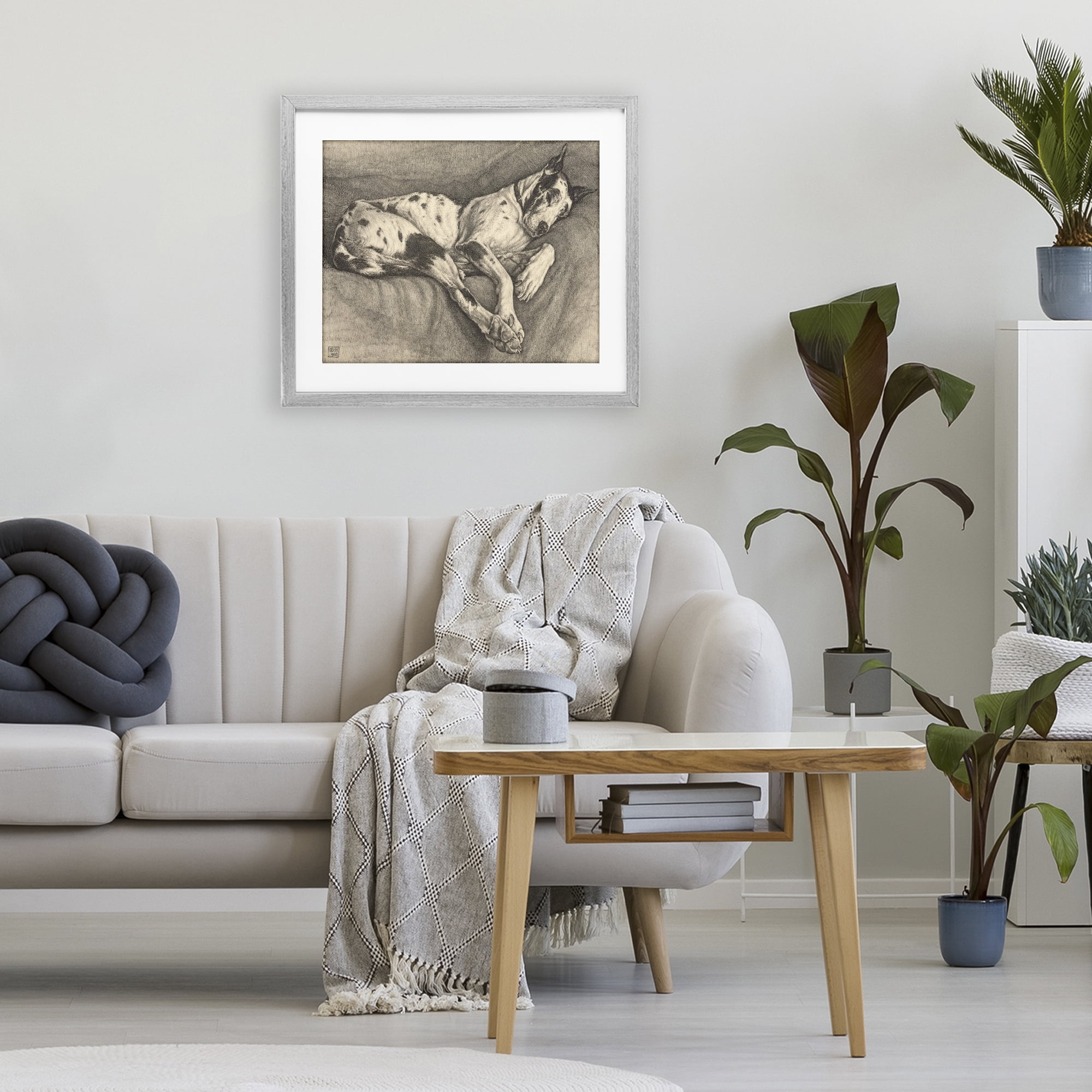 Stupell Industries Sleeping Hound Drawing Gray Framed Print Under Glass, design by Bertha Van Hasselt