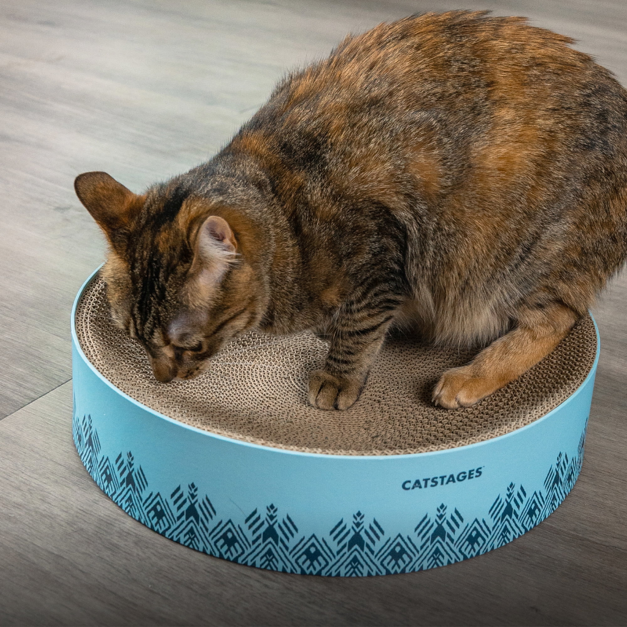 (3 pack) Catstages Scratch & Snuggle Cat Scratcher Bowl Blue