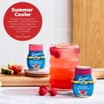 thumbnail image 5 of Torani Sugar Free Watermelon Liquid Drink Enhancer, 1.62 fl oz, 5 of 7