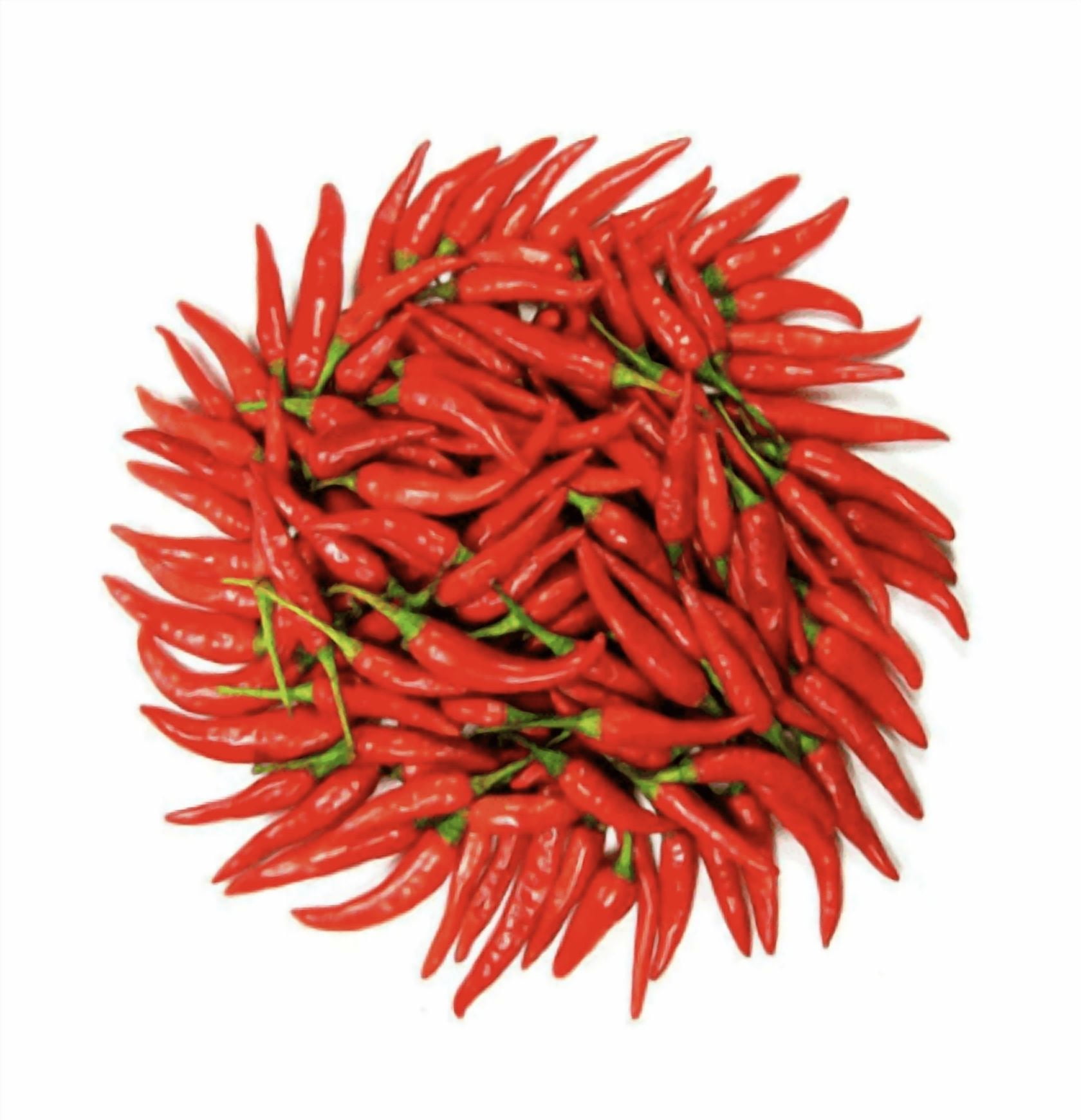 Sabor das Indias Malagueta Pepper 7.6 oz |Pack of 2 | Pimenta Malagueta Brasileira | Exclusive Brazil in Texas Bundle