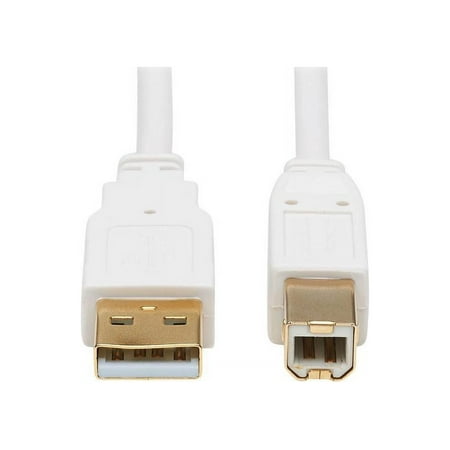 UPC: 0037332260611 | Tripp Lite 6ft USB-A to USB-B Antibacterial Cable M/M USB 2.0 White U022AB006WH