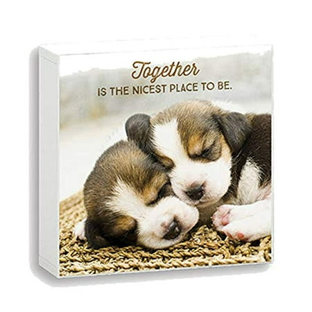 Nicest Place - Imagine Design Simply Stated Together is The Nicest Place to Be Box Plaque