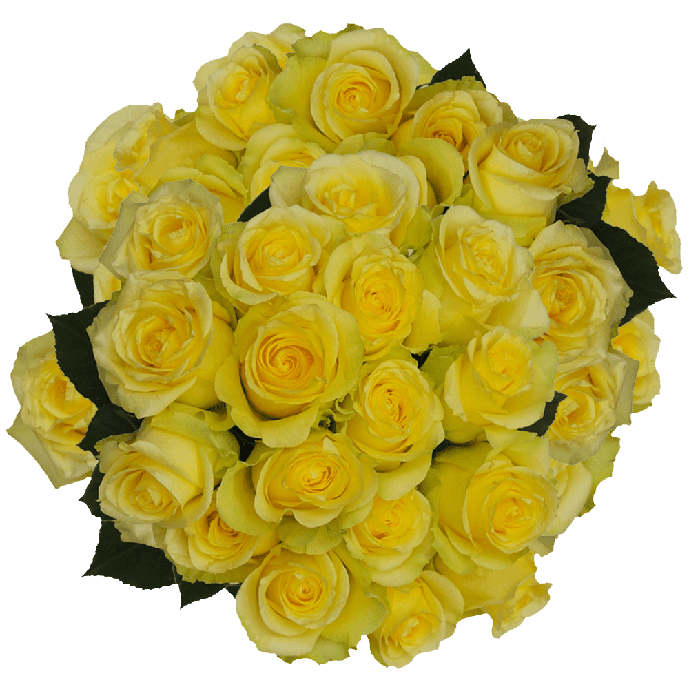 Impression (Yellow Flower) - Base of Vegetables Dish 67.6 fl oz