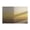 Yellow, variant on Yellow Yellow Pvc Durable Scraper Door Mat For Entrance Mud Dirt Non Slip Easy Clean Home Floor Decor